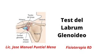 Speed test del Labrum Glenoideo  FisioterapiaRD Terapeuta haz tu prueba FuncionalPF28 [upl. by Sutphin450]