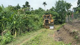 Maintaining Plantation Roads with the D6R XL Bulldozer Best Practices [upl. by Collbaith461]