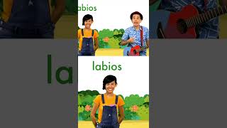 Conoce palabras por la letra L de León 🦁 123andres musicainfantil shortsvideo kidsvideo shorts [upl. by Laeria]