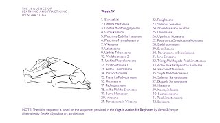 Week 17 Learning and Practicing Iyengar Yoga for Beginners [upl. by Glass898]