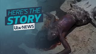 The mermaid sighting video thats dividing opinion on TikTok  ITV News [upl. by Atinaujnas]