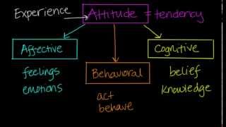 Components of Attitudes [upl. by Mazonson]