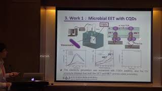 Accelerating the extracellular electron transfer [upl. by Bannon]