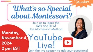 Whats so Special about Montessori [upl. by Sirtemed]