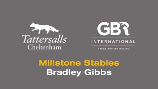 GBRI and Tattersalls Cheltenham visit to Millstone Stables [upl. by Stannfield]