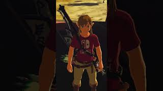 How to get INFINITE RUPEES in Breath of the Wild TLoZ BotW Glitch [upl. by Pomona]