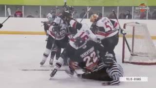 Icing Tonight  Episode Four  Telford Tigers V Basingstoke Bison [upl. by Hazlip942]