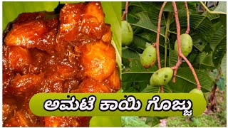 ಅಮಟೆ ಕಾಯಿ ಗೊಜ್ಜು Amtekai gojju Hog plum recipe  Malnad style amtekaayi gojju [upl. by Sammy534]