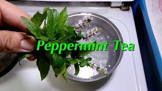 Peppermint Tea Benefits [upl. by Nahtanod615]