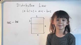 Lesson 13 Distributive law Cont [upl. by Aivatal517]