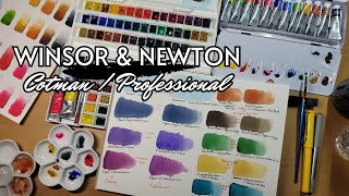 Winsor amp Newton Comparison and Review  Cotman vs Professional [upl. by Goldston]