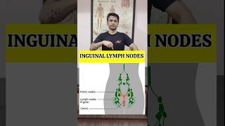 Best Exercise for Swollen Lymph Node in Groin Region Relief shorts tranding [upl. by Tibold934]