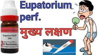 Eupatorium perfoliatum 30 ch 200ch uses in hindi Homeopathic master [upl. by Tyrrell]