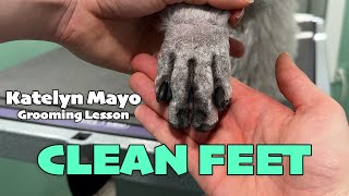 Grooming Lesson How to Groom Clean Shaved Poodle Feet [upl. by Abana]