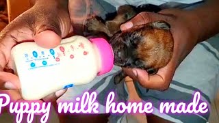 How to make the Best Home Made Puppy Milk Replacement Formula feeding new born Puppies HEALTHY Milk [upl. by Vivyan]