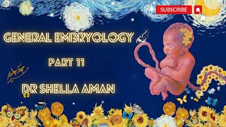 General Embryology  Part 11  3rd week of development 2  Dr Shehla Aman [upl. by Rellek]