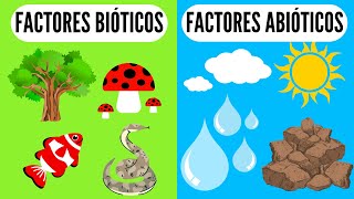 🐠 FACTORES BIÓTICOS Y ABIÓTICOS 🐍 ¿Qué son En el medio ambiente o ecosistemas para niños biología [upl. by Ferrel]