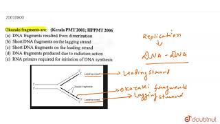 Okazaki fragments are [upl. by Mossberg]