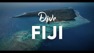 Scuba Diving in Fiji [upl. by Whitman]