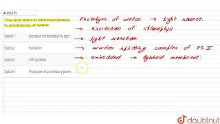 The first step in photosynthesis is photolysis of water [upl. by Willet583]