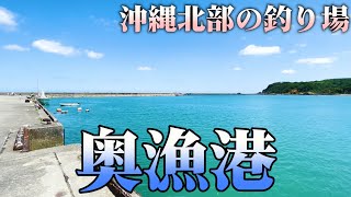 奥漁港【沖縄北部の釣り場】 [upl. by Cates917]