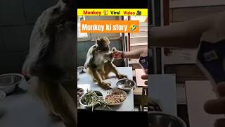 Viral Monkey 🐒 in delhi metro short video monkey viral youtubeshorts shorts [upl. by Kotta]