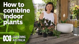 Maximise space by combining indoor plants in one pot  Indoor Plants  Gardening Australia [upl. by Tiffa]