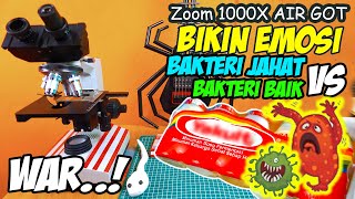 WAR BAKTERI BAIK YAKULT vs BAKTERI JAHAT AIR GOT  Microscope Zoom 1000X [upl. by Arreik]