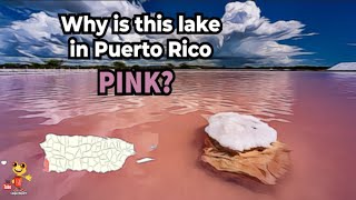 Why are these lakes in Puerto Rico PINK [upl. by Etheline]