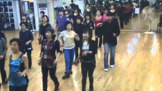 Have You Ever Seen The Rain  Line Dance Demo amp Walk Through [upl. by Brigham924]