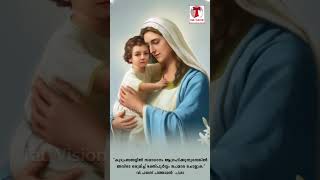 UIllurukubol Enne Cherthu Pidichavalamma  Mother Mary Whatsapp Status  Tau Vision [upl. by Akemihs554]