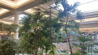 Indoor Palms at Market Mall Saskatoon [upl. by Namruht858]