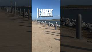 Fishing Packery Channel in Corpus Christi Texas shorts fishing adventure texas fyp viral [upl. by Pavla]