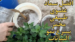 افضل سماد عضوي طبيعي و اقوى سماد عضوي مخمر طبيعي بلدي لتسريع النمو🌿 The way of a compost Indoors [upl. by Anerhs]