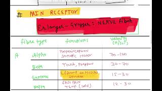 NEUROPHYSIO SENSORY RECEPTOR  ERLANGER GRASSER NERVE CLASSIFICATION MUST DO TOPICS neetpg2025 [upl. by Haroldson]