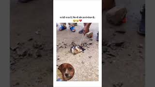 ऐसा क्यू करते हैं 😭 लोग 🥺 मत करो yaar 💔❓❓ love music doglover dog dogshorts emotions [upl. by Rekab]