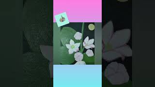 Learn Aestivation in Calotropis flower through painting [upl. by Sahc207]