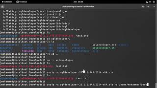 How to Unzip Files in Linux [upl. by Flodur202]