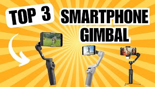 SMARTPHONE GIMBAL Beste Handy Stabilisator 2024 im Vergleich TOP 3 Gimbal Test [upl. by Swayne637]