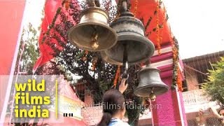 Hindu devotees ringing temple bells in Nainital [upl. by Courcy]