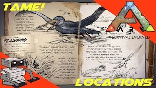 Ark Survival Evolved  Pelagornis Where And What About It [upl. by Ahsemed]