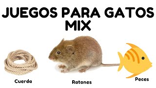 Juegos para Gatos  Mix Gatos Peces Cuerda y Láser [upl. by Ytsirk]