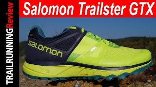 Salomon Trailster GTX Review [upl. by Samp]