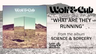 Wolf amp Cub  What Are They Running [upl. by Neirda]