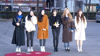 4K영상 여자친구GFRIEND 2019년은 여자친구의 해야190118 [upl. by Brooke479]