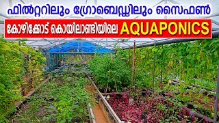 Aquaponics Calicut Kerala Siphon connected with filter and grow bed [upl. by Toft]