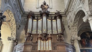 Georg Muffat  Toccata quinta  Steven Knieriem plays at the Grimbergen Abbey [upl. by Anairo367]