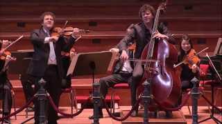 Bottesini Gran duo concertante  Concertgebouw Kamerorkest  Live Concert  HD [upl. by Epillihp480]