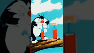 Tweety bird youtubeshorts cartoon explosion sylvester looneytunes funny funnymemes tweety [upl. by Macri]