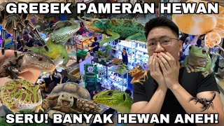 PAMERAN HEWAN DI MALL PALING SERU DAN LENGKAP BANYAK REPTIL DAN BINATANG UNIK DISINI [upl. by Metzger672]